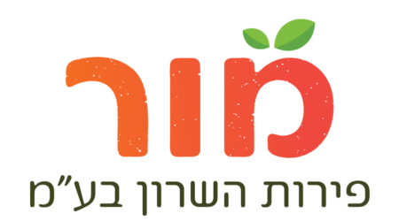 לקוח